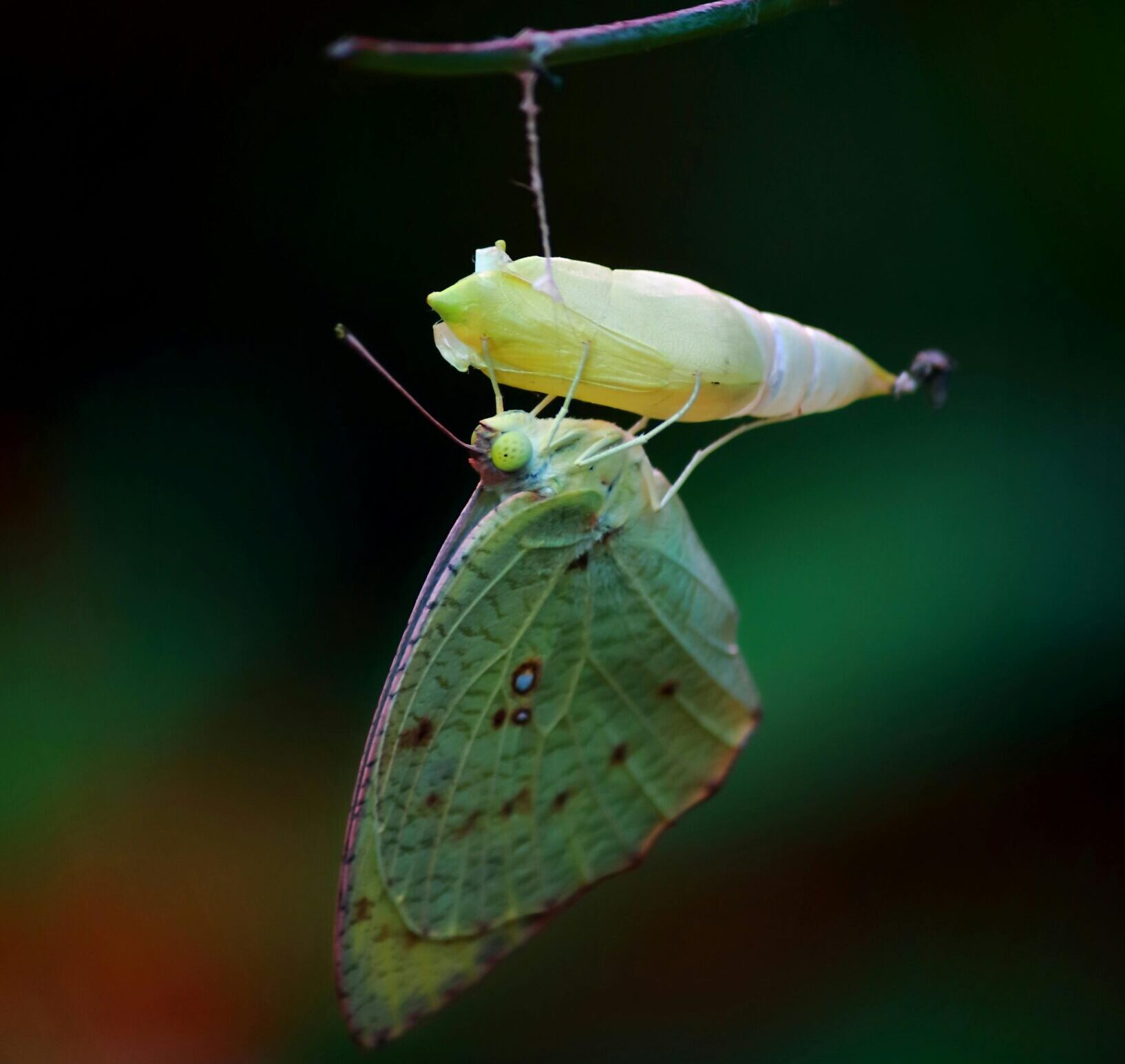 Breaking Free: How to Step Beyond Routine and Rediscover Life